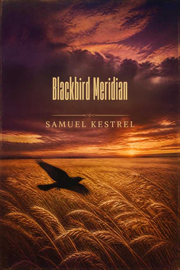 Book cover for Blackbird Meridian by Samuel Kestrel