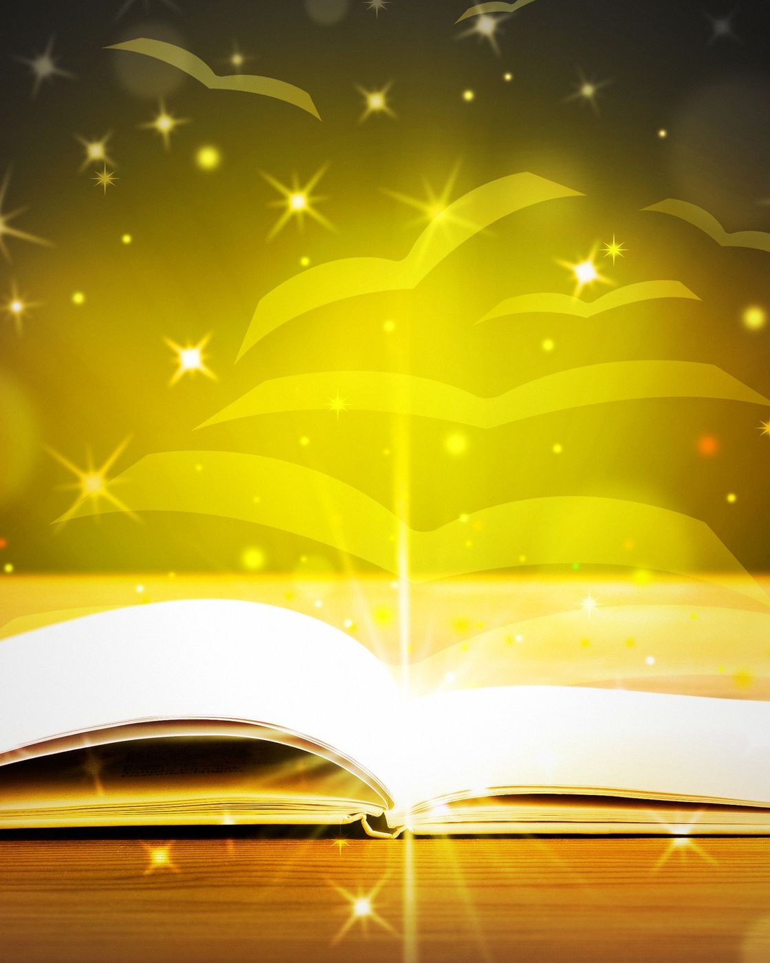 Fanned pages of an open book catching warm daylight