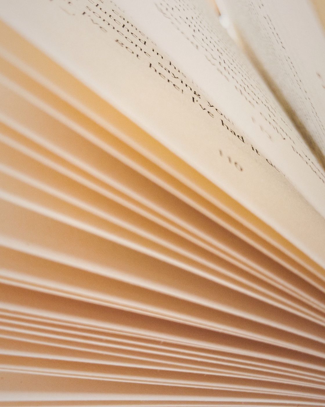 Fanned pages of an open book catching warm daylight