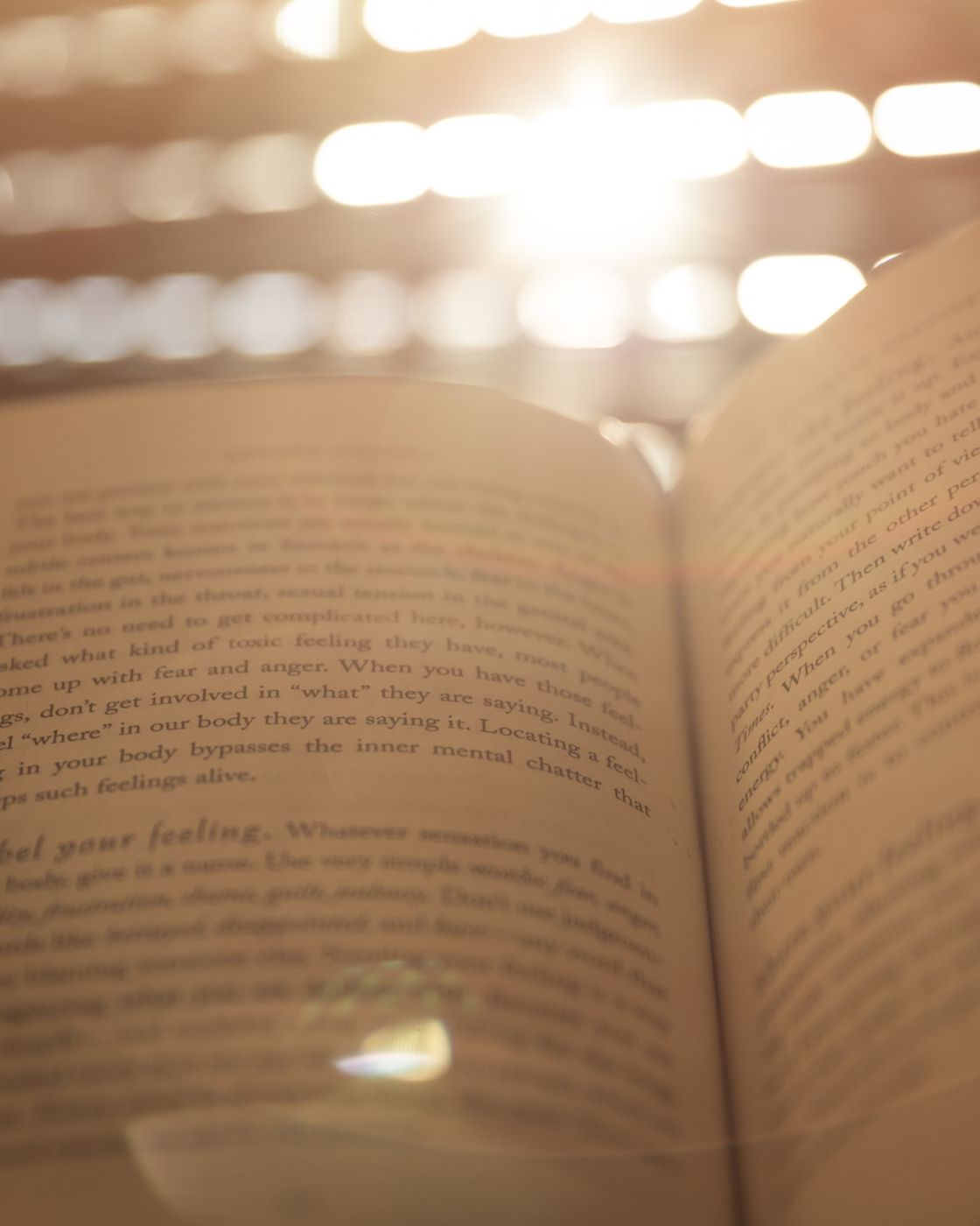 An open book with lines of text glowing in warm sunlight